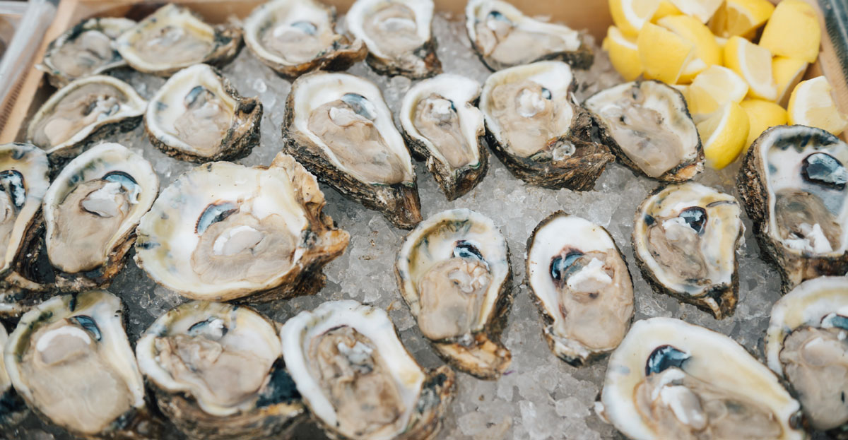 Fresh Gulf oysters on ice at a wedding reception